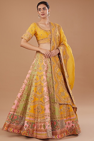 Multi-Colored Organza Hand Embroidered Lehenga Set by Debyani