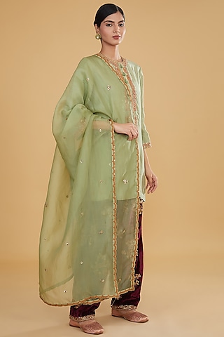 Mint Green Silk & Velvet Dupatta by Debyani