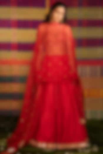 Pinkish Red Hand Embroidered Kalidar Lehenga Set by Deep Thee