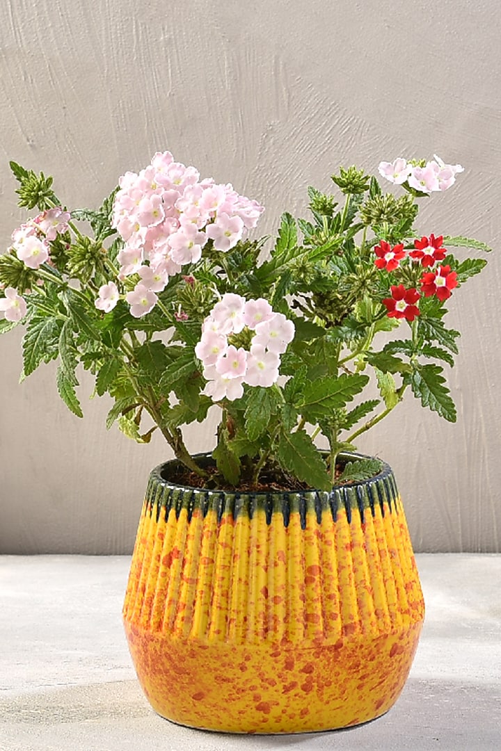 Purple Ceramic Desk Planter by The 7 Dekor at Pernia's Pop Up Shop