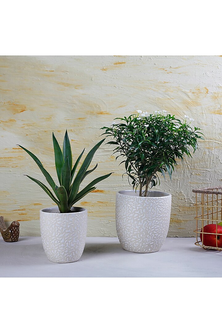White Textured Ceramic Planters (Set of 2) by The 7 Dekor
