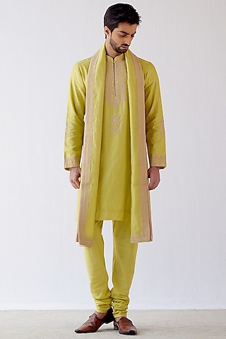 Lime Green Chanderi Embroidered Stole by Devnaagri Men