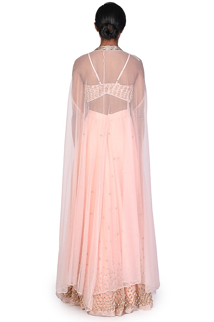 Peach Embroidered Skirt Set by Dev R Nil at Pernia's Pop Up Shop