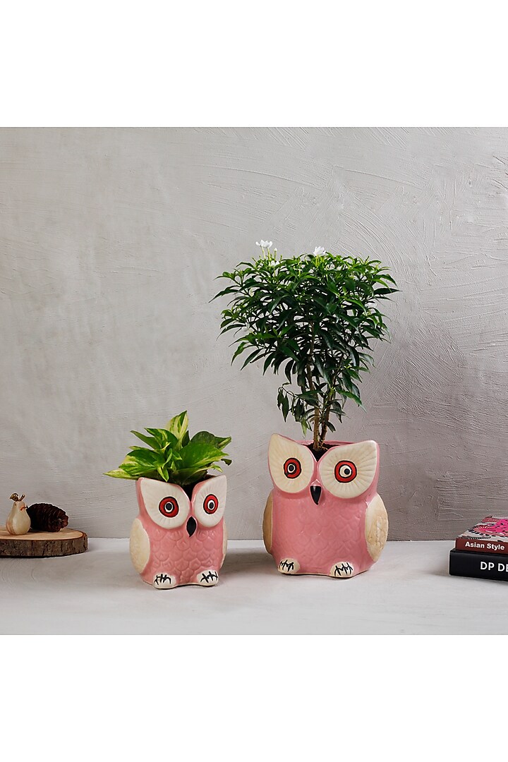 Pink Owl-Shaped Planters (Set of 2) by The 7 Dekor