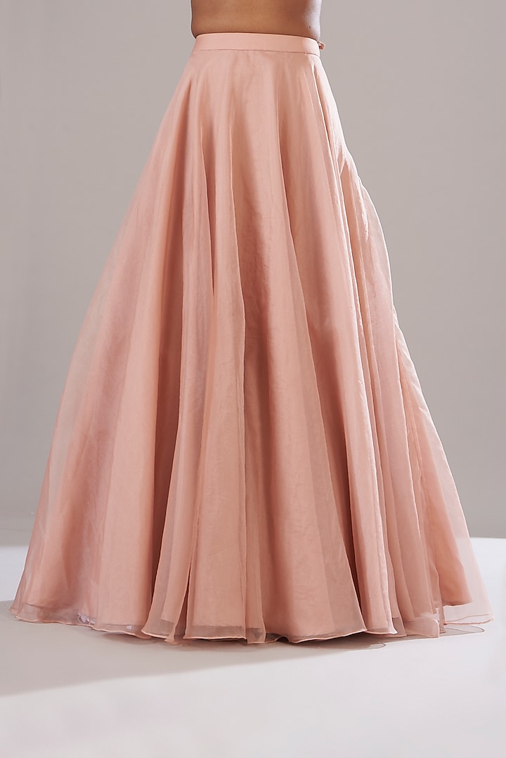 Powder Pink Organza Flared Skirt Set by Disha Patil at Pernia's Pop Up Shop
