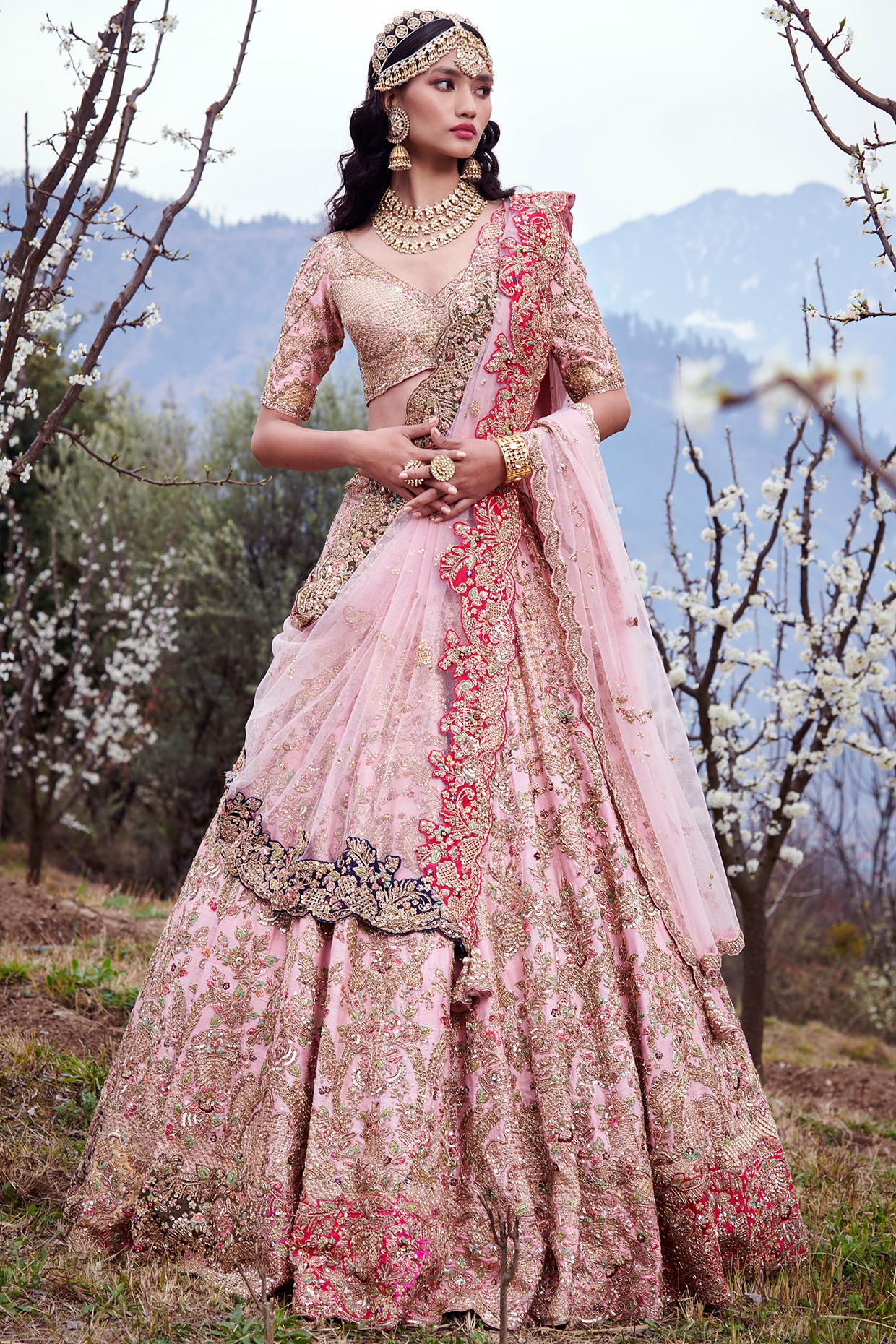 Dolly j shop bridal lehenga price