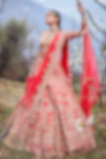 Cadmium Red Embroidered Bridal Lehenga Set by Dolly J