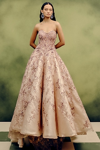 Beige Organza Tissue Hand Embroidered Ball Gown by Dolly J
