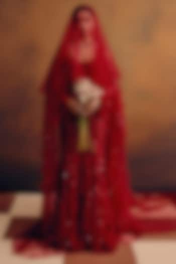 Deep Red Tulle Monochromatic Embroidered Skirt Set by Dolly J at Pernia's Pop Up Shop