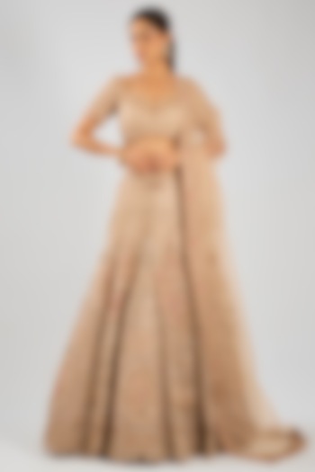 Pastel Gold Tulle Zari Embroidered Bridal Lehenga Set by Dolly J at Pernia's Pop Up Shop