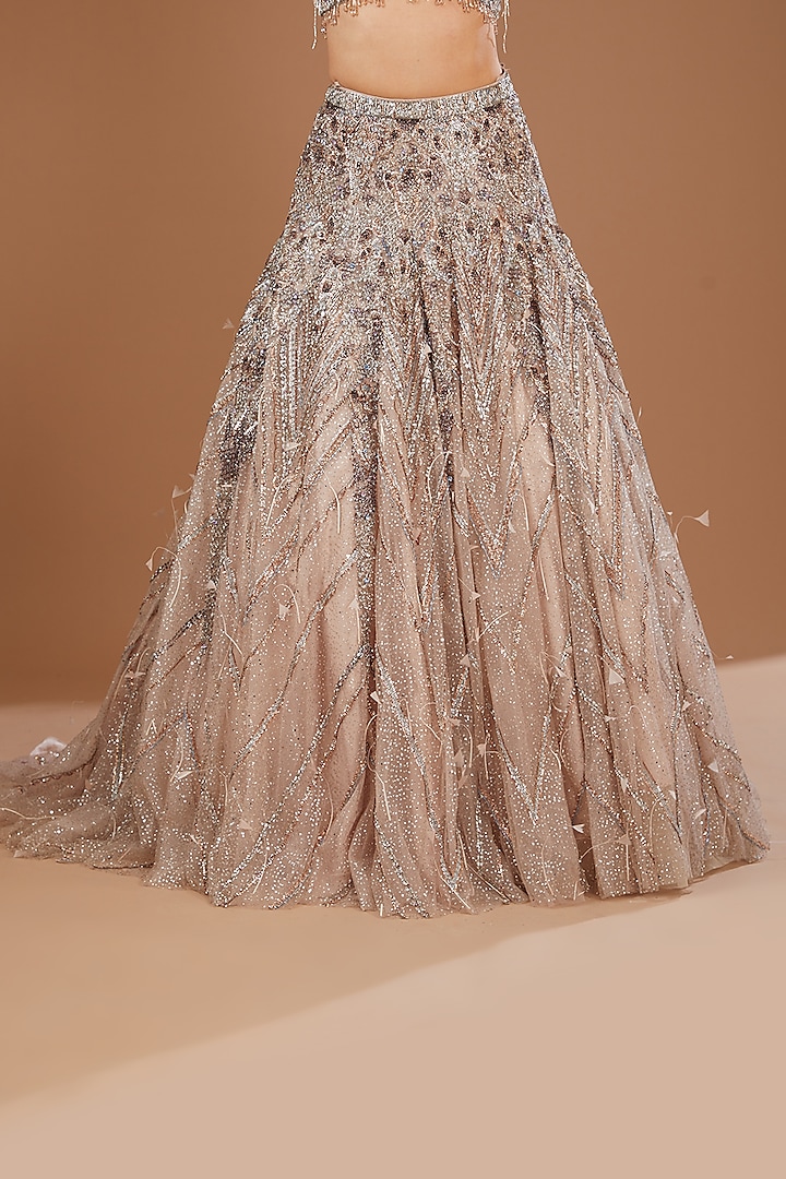 Silver Shimmer Tulle Embroidered Bridal Lehenga Set by Dolly J at Pernia's Pop Up Shop