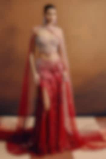 Blood Red Net Hand Embroidered Skirt Set by Dolly J at Pernia's Pop Up Shop