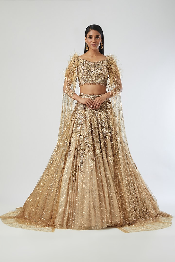 Beige Chiffon & Tulle Lehenga Set by Dolly J