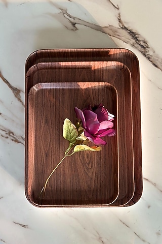 Brown Melamine Tray (Set Of 3) by Mason Home