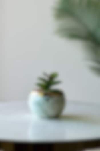 Green & White Ceramic Artificial Spiral Succulent by Mason Home