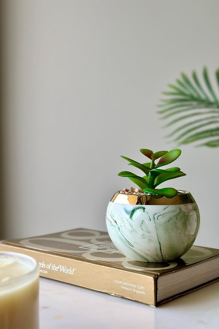 Green & White Ceramic Artificial Spiral Succulent by Mason Home at Pernia's Pop Up Shop
