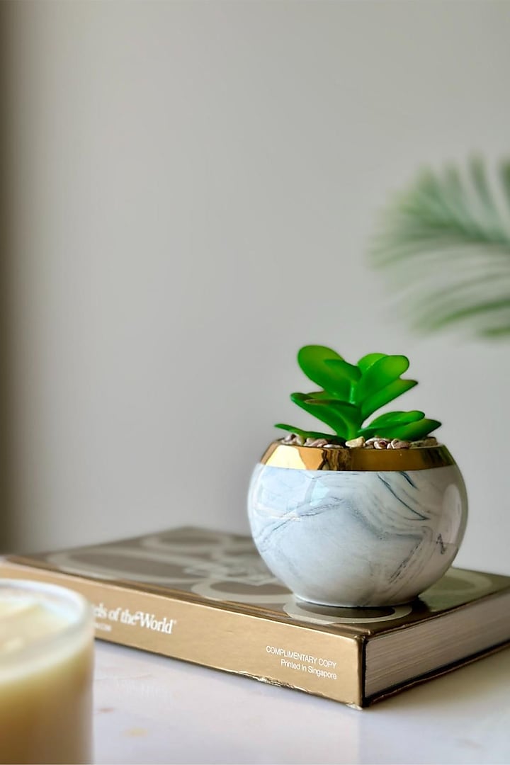 Green & White Ceramic Artificial Swirl Crassula Succulent by Mason Home