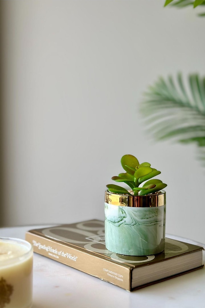 Green & White Ceramic Artificial Jade Succulent by Mason Home