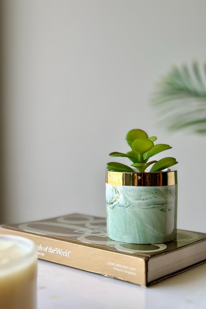 Green & White Ceramic Artificial Jade Succulent by Mason Home at Pernia's Pop Up Shop