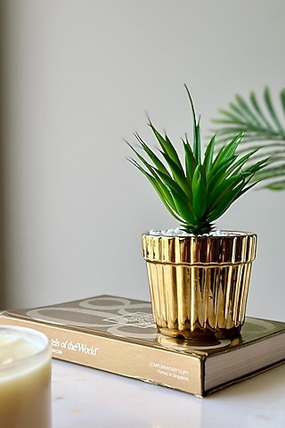 Gold & Green Ceramic Artificial Havana Succulent by Mason Home