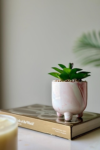 Green & White Ceramic Artificial Moonglow Succulent by Mason Home