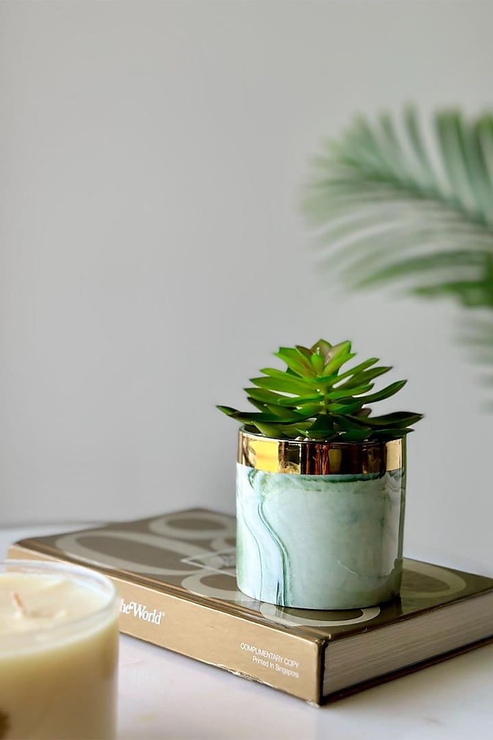 White & Green Ceramic Artificial Crassula Succulent by Mason Home