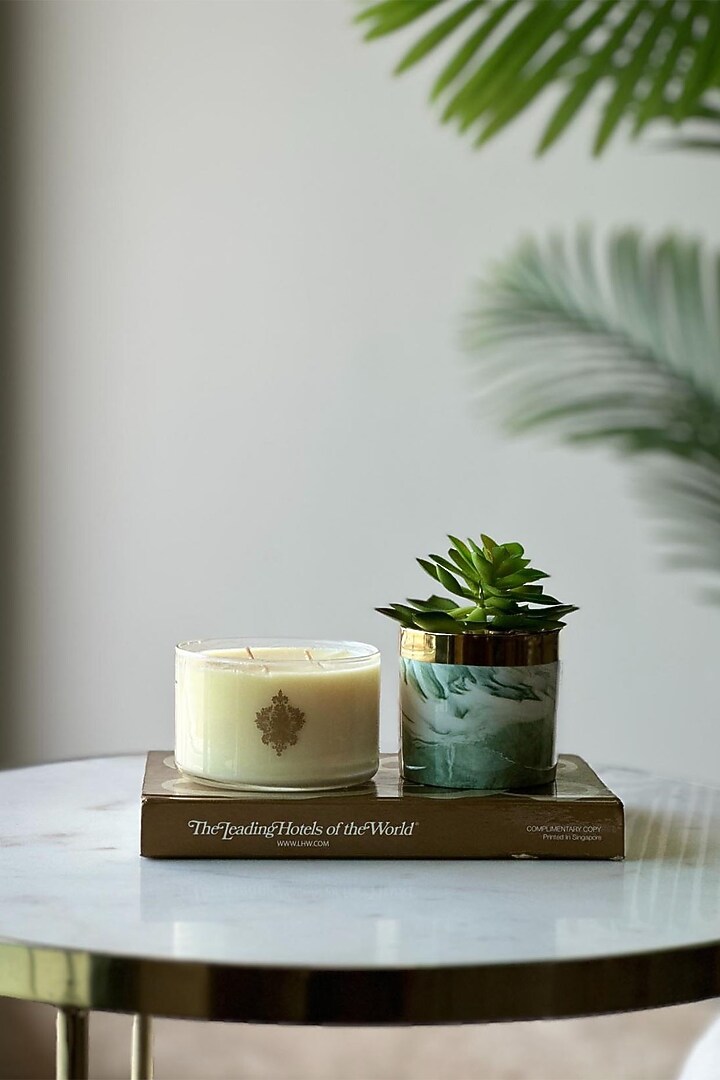 White & Green Ceramic Artificial Crassula Succulent by Mason Home at Pernia's Pop Up Shop