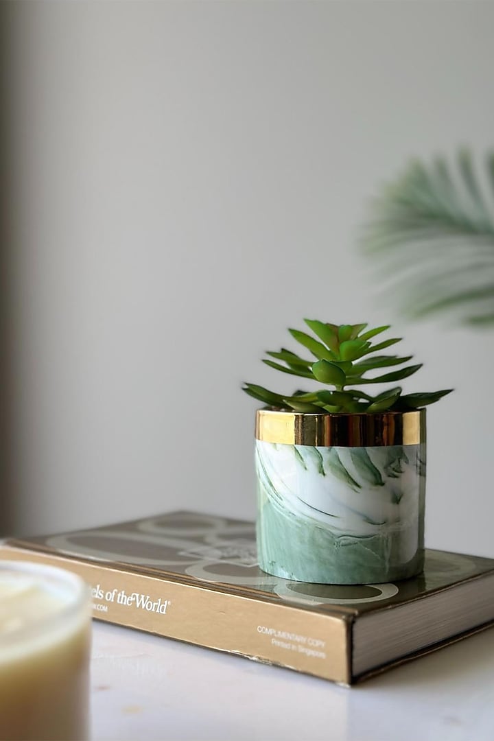 White & Green Ceramic Artificial Crassula Succulent by Mason Home at Pernia's Pop Up Shop