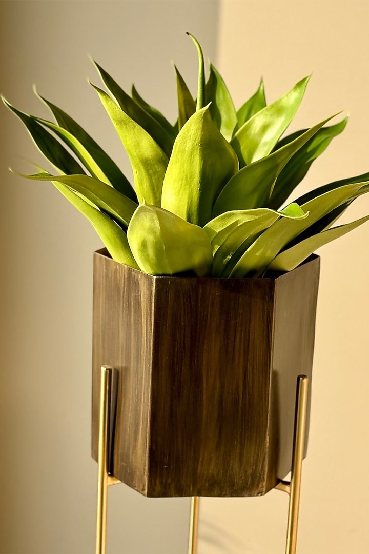 Brown & Gold Iron Planter by Mason Home at Pernia's Pop Up Shop