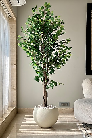 Buy Artificial Plants Online from India's Luxury Decor Designers 2026