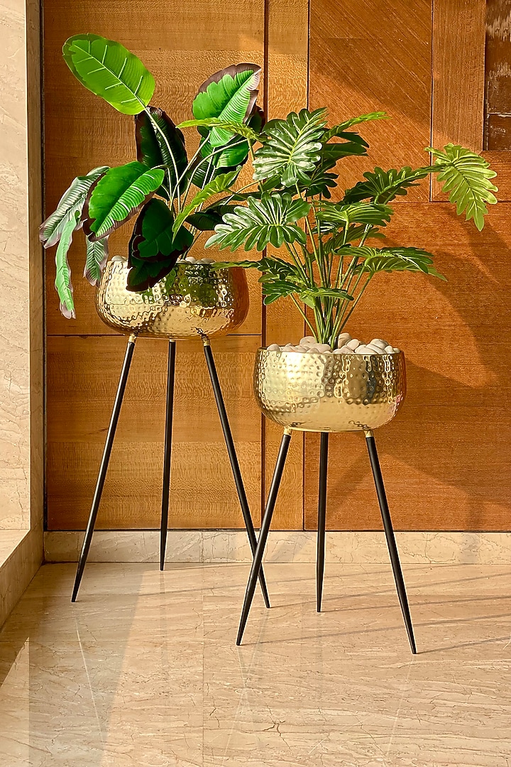 Arizona Gold Planter (Set of 2) by Mason Home at Pernia's Pop Up Shop
