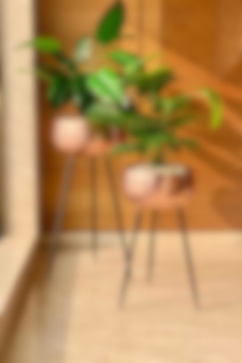Arizona Rose Gold Planter (Set of 2) by Mason Home at Pernia's Pop Up Shop