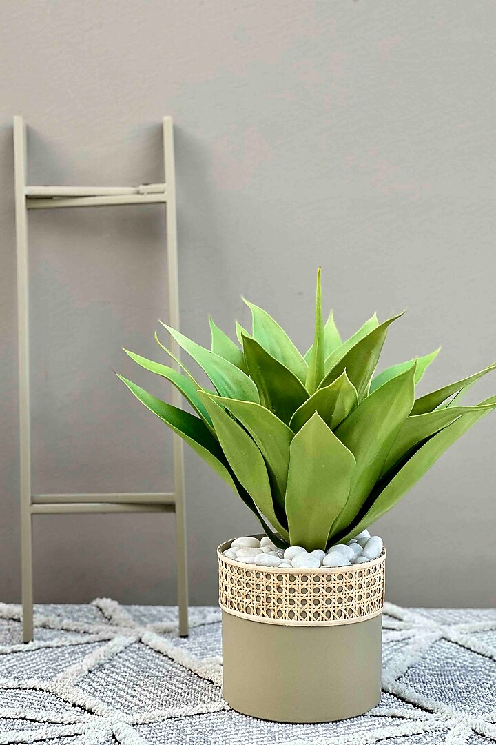 Manila Rattan Olive Green Planter (Set Of 2) by Mason Home at Pernia's Pop Up Shop