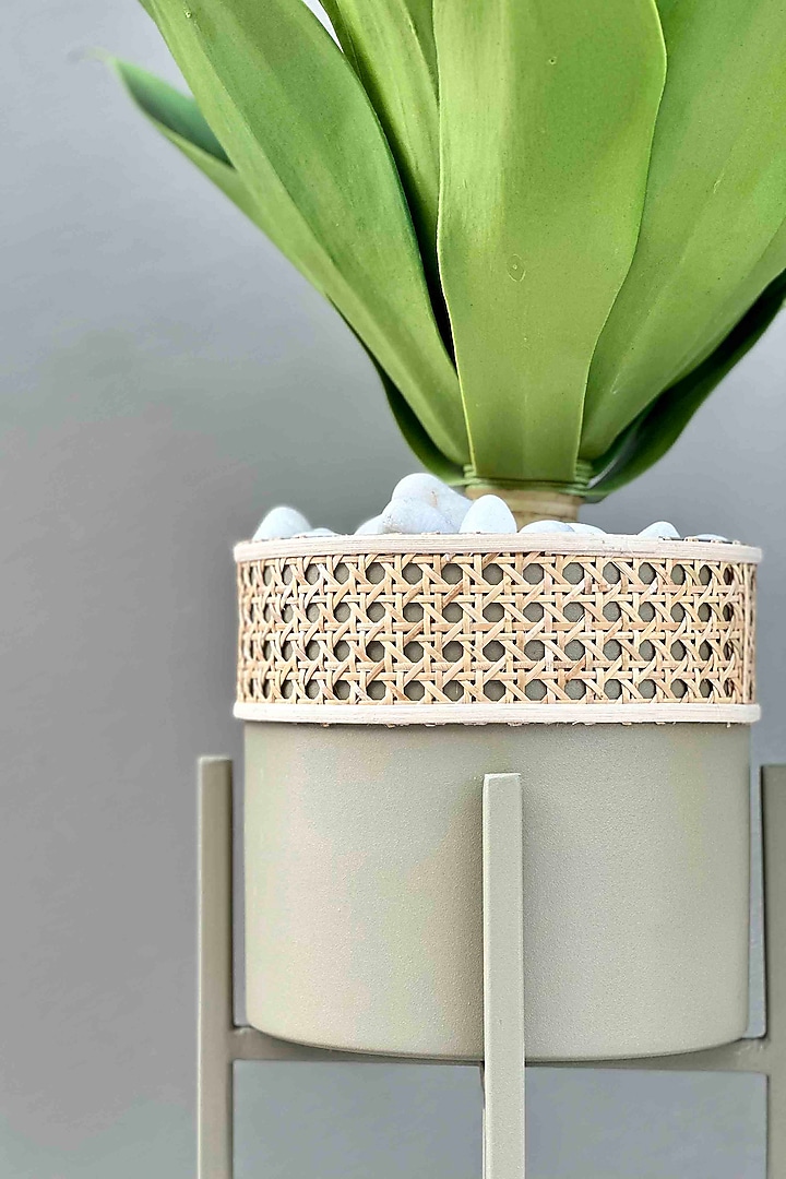 Manila Rattan Olive Green Planter (Set Of 2) by Mason Home at Pernia's Pop Up Shop