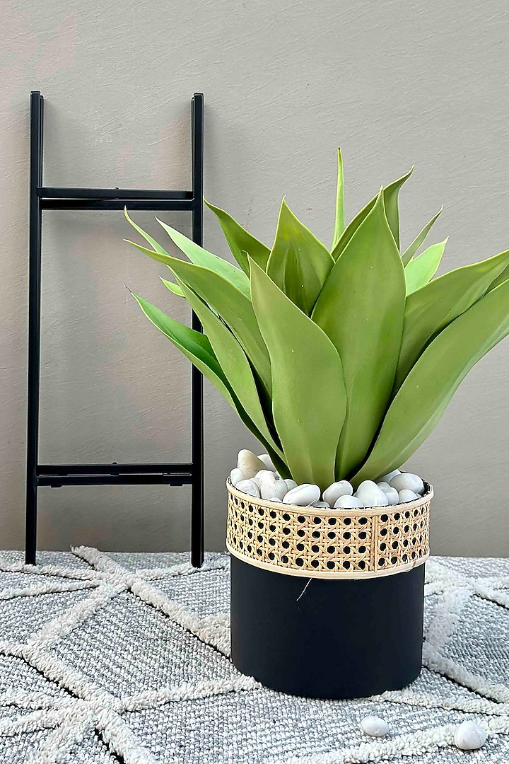 Manila Rattan Black Planter (Set Of 2) by Mason Home at Pernia's Pop Up Shop