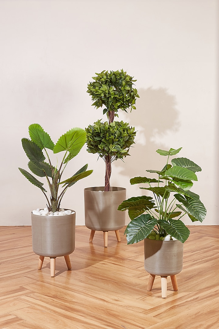 Beige PVC Planter by Mason Home at Pernia's Pop Up Shop