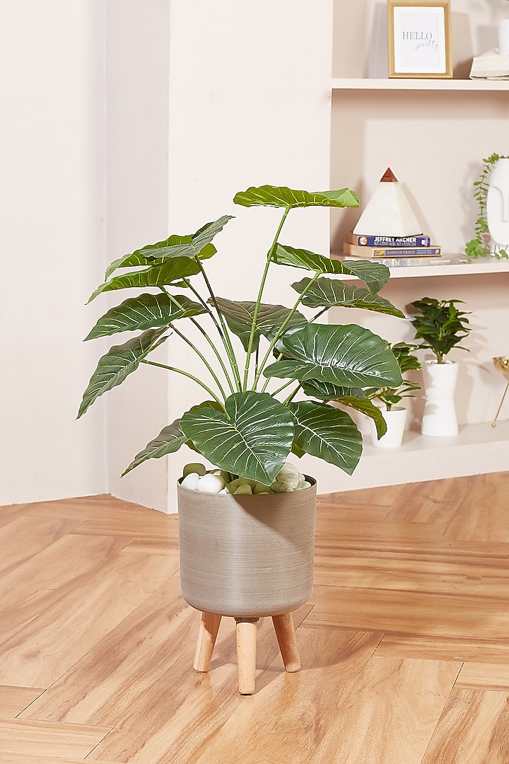 Beige PVC Planter by Mason Home at Pernia's Pop Up Shop