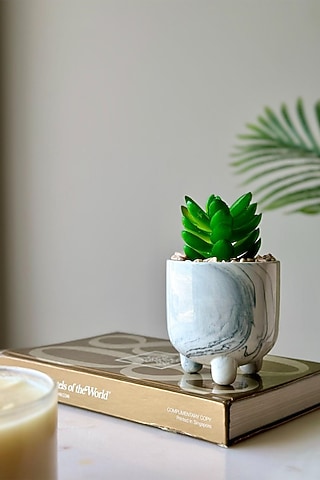 Gold & Green Ceramic Artificial Moonglow Succulent by Mason Home