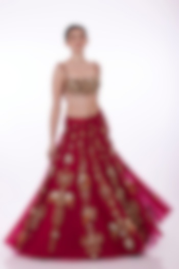 Ruby Pink Net & Polyester Satin Hand Embroidered Kalidar Wedding Lehenga by Dilnaz Karbhary at Pernia's Pop Up Shop