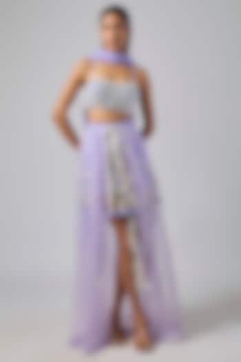 Periwinkle Net Skirt Set by Dilnaz Karbhary at Pernia's Pop Up Shop