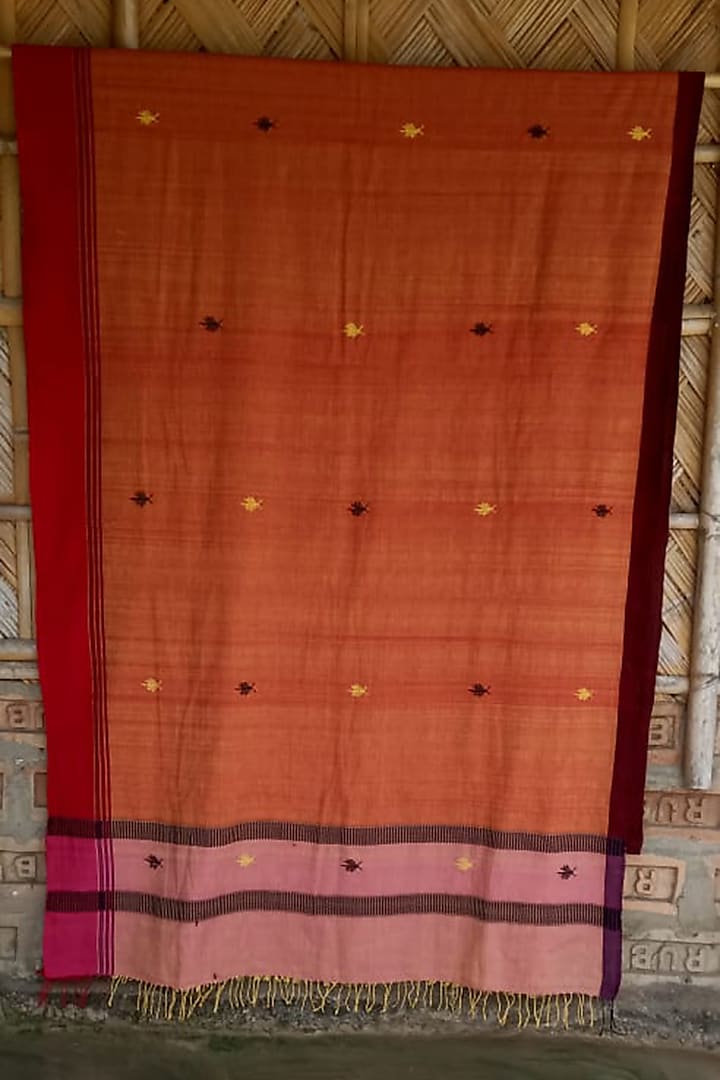 Red Handwoven Saree With Wild Insect Motifs by Dipika Kakati