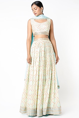 Light Blue Printed & Embroidered Lehenga Set by Blue Lotus