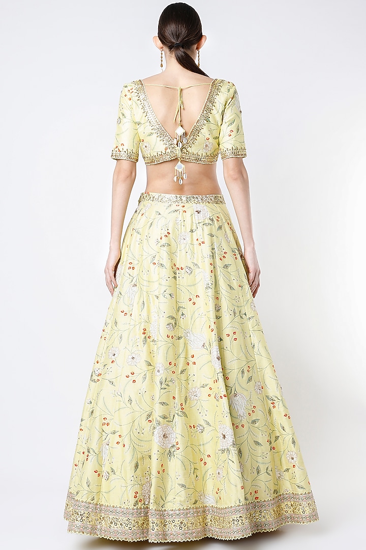 Pumpkin Seed Yellow Embroidered Wedding Lehenga Set by Blue Lotus at ...