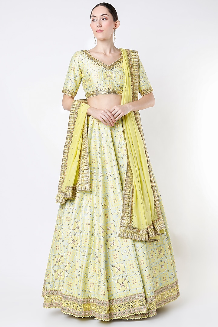 Tambourine Yellow Embroidered & Printed Lehenga Set by Blue Lotus