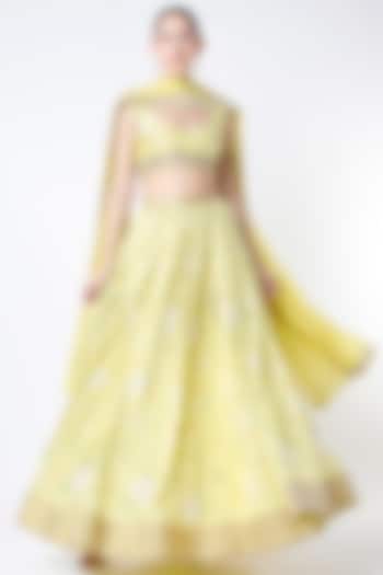 Gentle Yellow Embroidered Lehenga Set by Blue Lotus