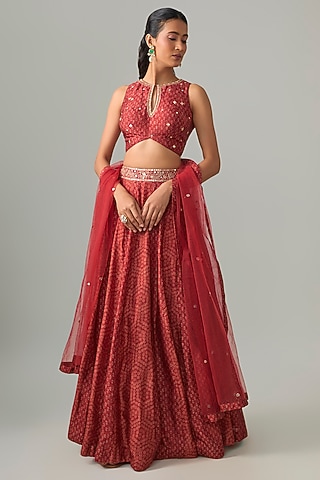 Maroon Dupion Silk Mirror & Zari Embroidered Lehenga Set by Drishti & Zahabia