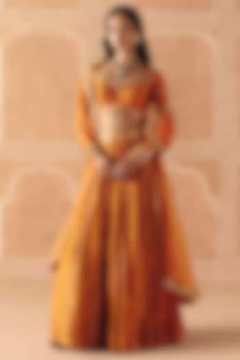 Burnt Orange Dupion Silk Printed Paneled Wedding Lehenga Set by Drishti & Zahabia at Pernia's Pop Up Shop