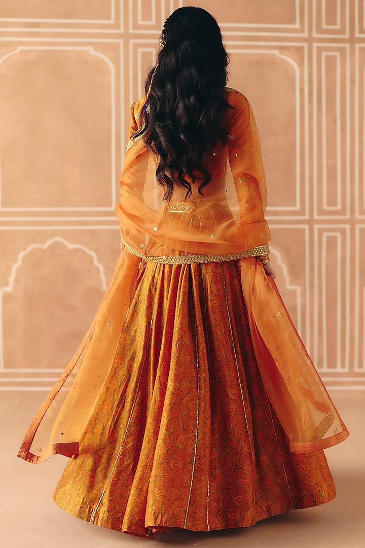 Burnt Orange Dupion Silk Printed Paneled Wedding Lehenga Set by Drishti & Zahabia at Pernia's Pop Up Shop