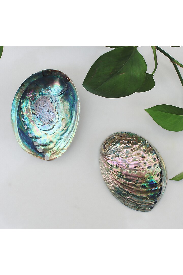 Blue Abalone Natural Sell by THOA at Pernia's Pop Up Shop