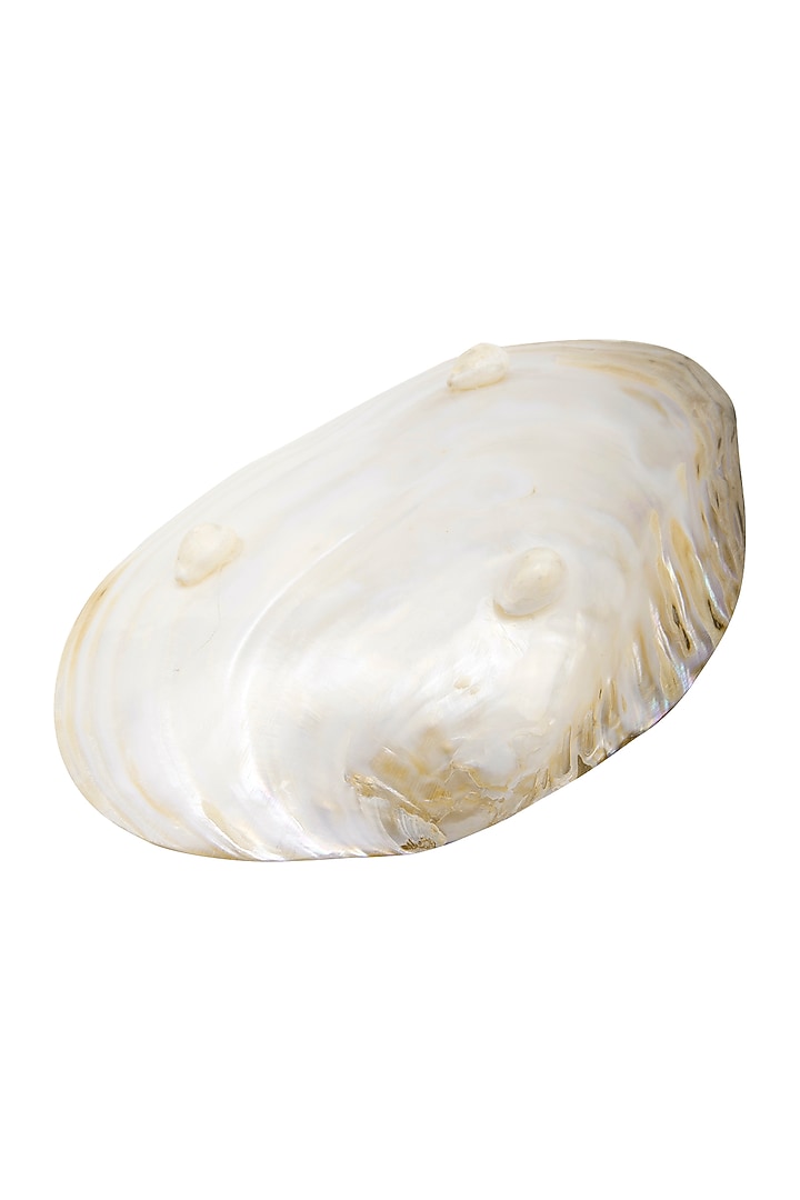 Silver Oyster Shell Showpiece by THOA at Pernia's Pop Up Shop